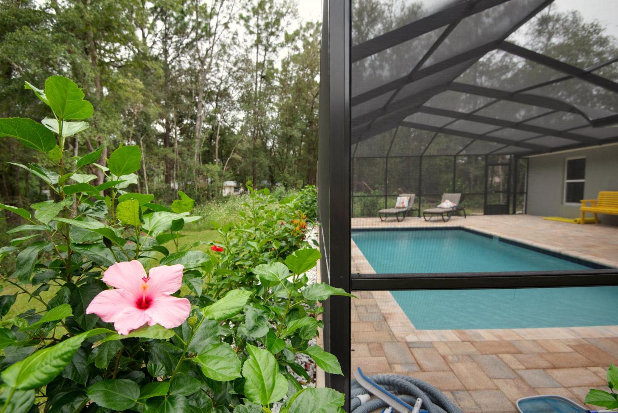Pet-Friendly, Heated Pool, Close To Everything 3 Bedroom Home Dunnellon Dış mekan fotoğraf